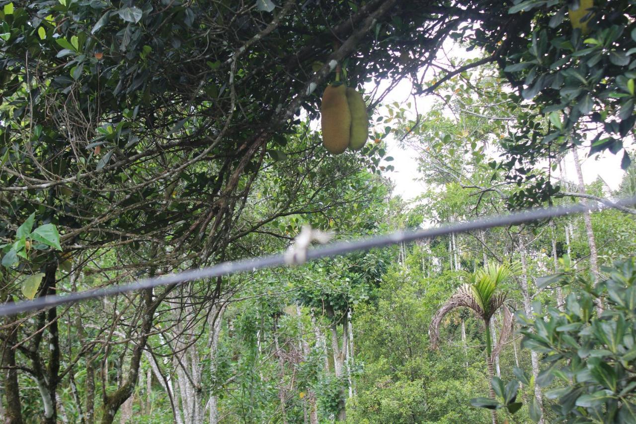 Arabian Nights Munnar Villa ภายนอก รูปภาพ